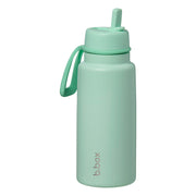 Geïsoleerde Flip Top 1 liter fles - groene munt